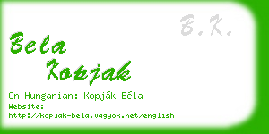 bela kopjak business card